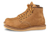 2953 Heritage 6 Inch Rover Boot