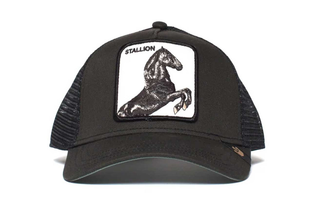 Goorin bros stallion cap sale