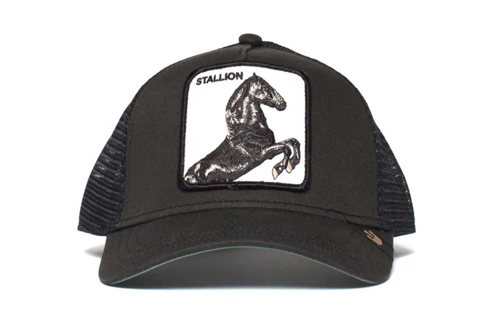 Goorin Bros Stallion Black Adjustable Cap